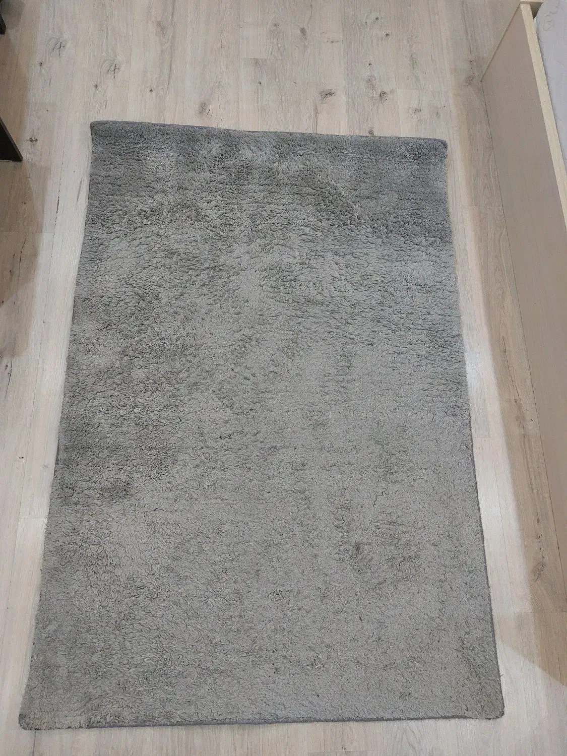 فرش اتاق خواب تدی طوسی|فرش|مشهد, کوثر|دیوار