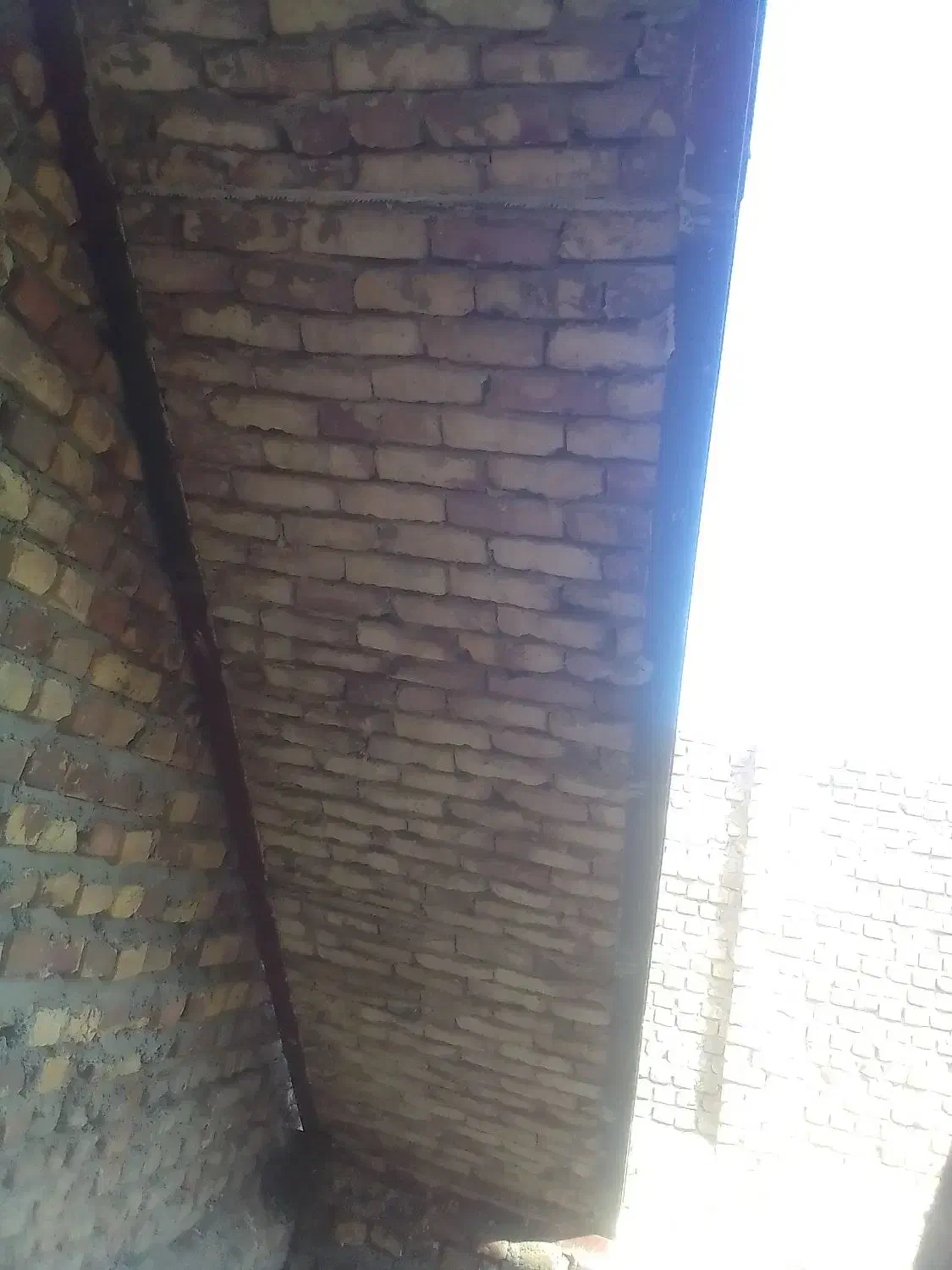 بنا|خدمات پیشه و مهارت|زابل, |دیوار