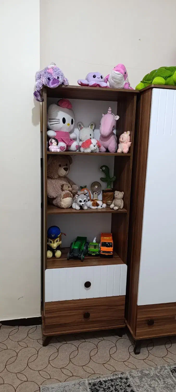 کتابخونه|کتابخانه، شلف، قفسه‌های دیواری|گلستان (تهران), |دیوار