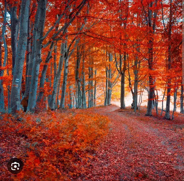 فروش زمین تجاری نزدیک به پمپ بنزین بخش چاهسن|فروش زمین و ملک کلنگی|رودبار (کرمان), |دیوار