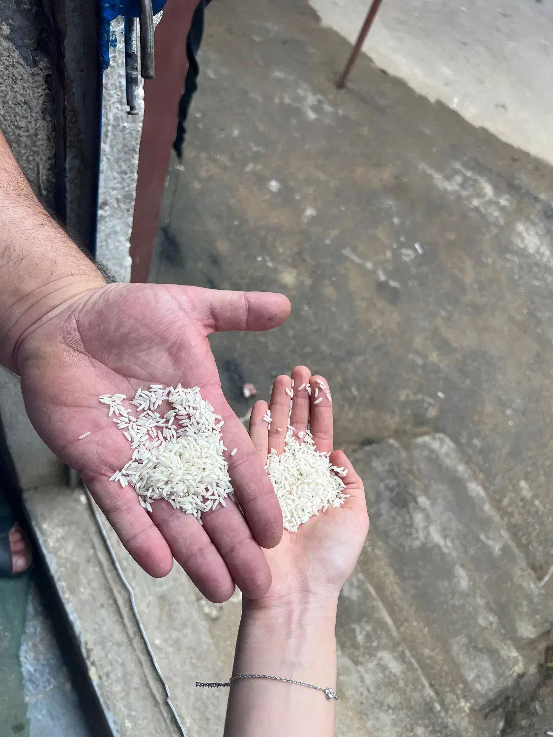 خرید با کیفیت و با قیمت مناسب از تولیدکننده|خدمات پذیرایی، مراسم|قائمشهر, |دیوار