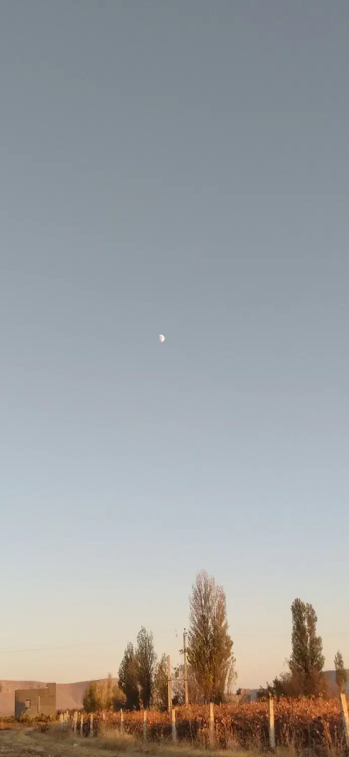 کارت ملی گمشده|اشیا|میاندوآب, |دیوار