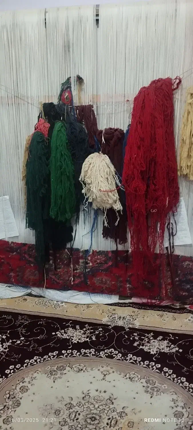 فرش هریس تاجری|فرش|مشگین شهر, |دیوار