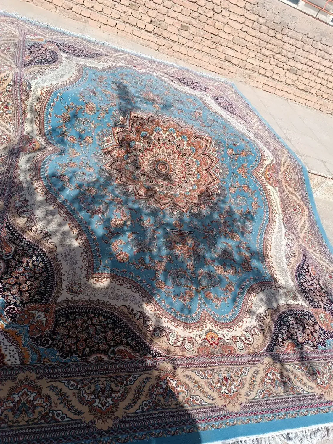 فرش فیروزه ای دوازده متری|فرش|همدان, |دیوار