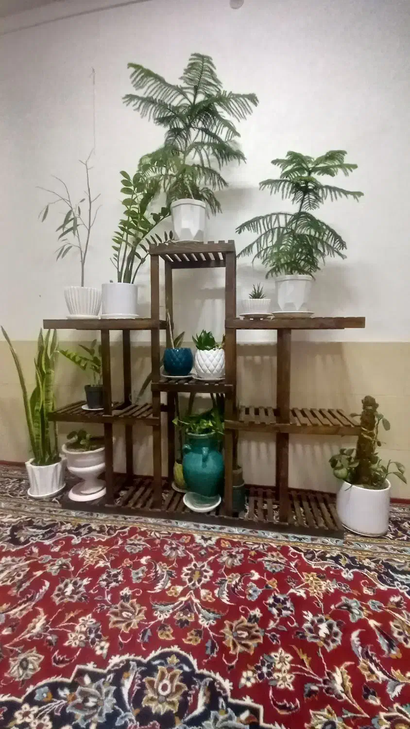 استند گل|گل و گیاه طبیعی|گناباد, |دیوار