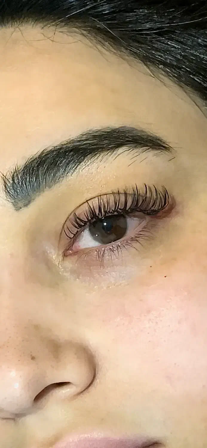 لیفت و لمینت مژه و ابرو با بهترین مواد لیمینیشن|خدمات آرایشگری و زیبایی|ری, دیلمان|دیوار