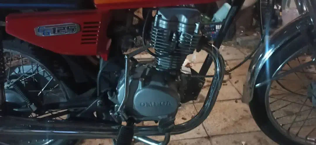 پرنده|پرنده|سوسنگرد, |دیوار