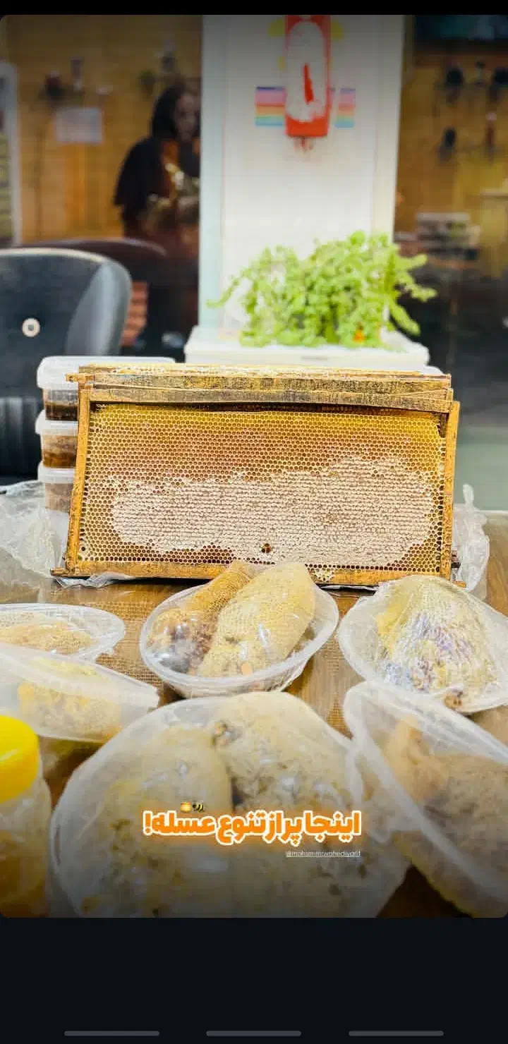 دهکده عسل برازجان|خوردنی و آشامیدنی|برازجان, |دیوار