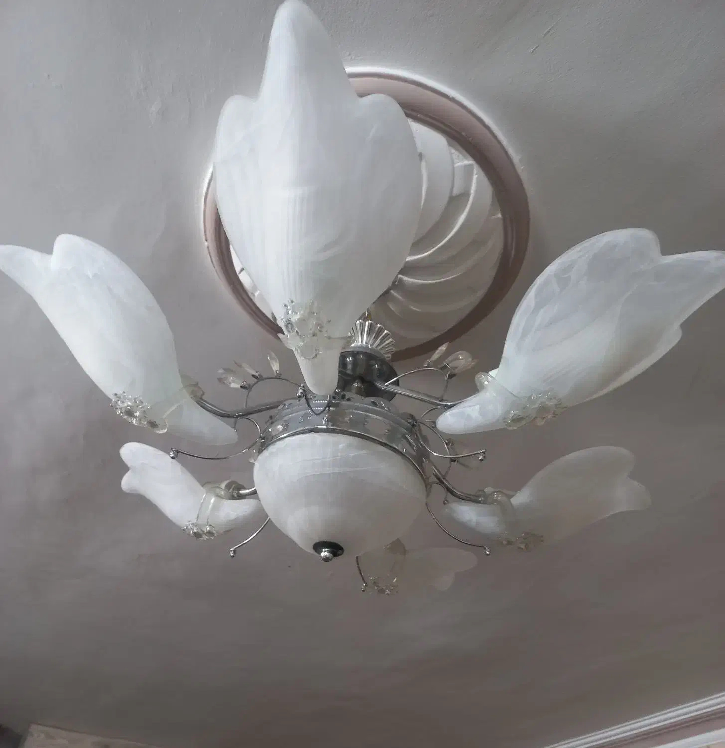 لوستر|لوستر و چراغ آویز|مشهد, شهرک امام هادی (شهرک غرب)|دیوار