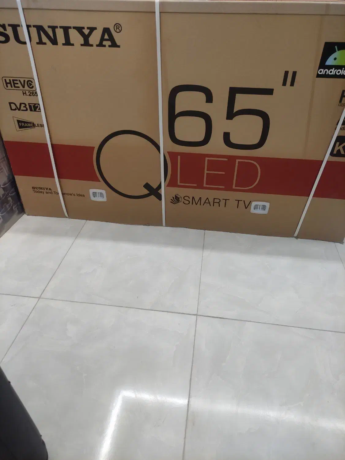 تلویزیون|تلویزیون و پروژکتور|یزد, |دیوار