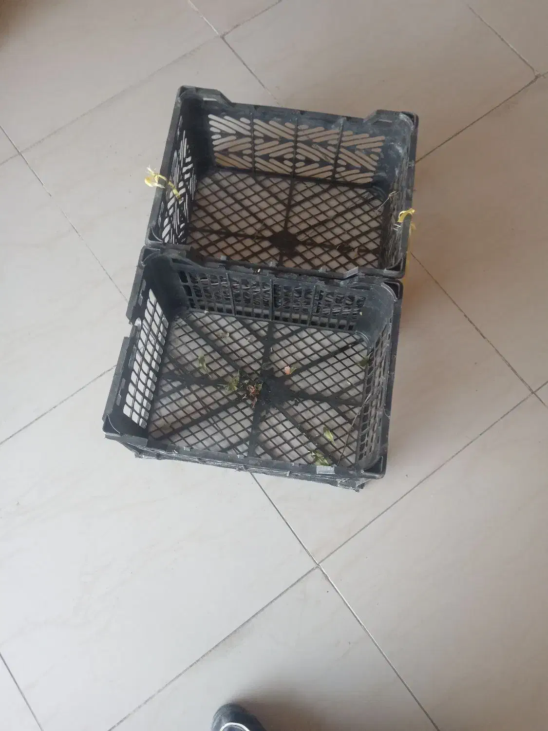 جعبه 15 کیلویی|ظروف نگهدارنده، پلاستیکی، یک‌بارمصرف|شیروان (خراسان), |دیوار