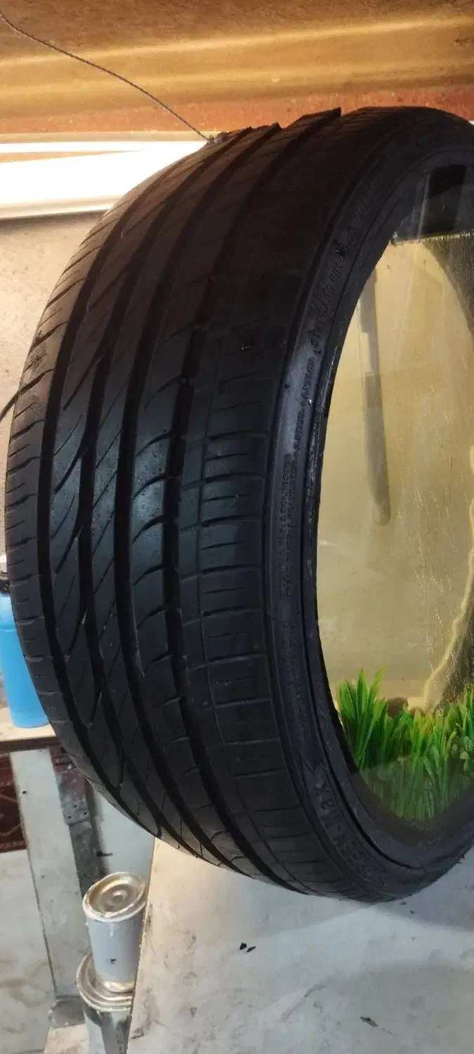 آکواریوم طرح لاستیک|ماهی|همدان, |دیوار