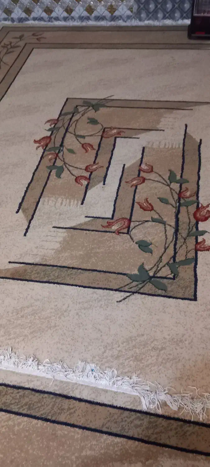 فرش ۱۲ متری|فرش|زاهدان, |دیوار