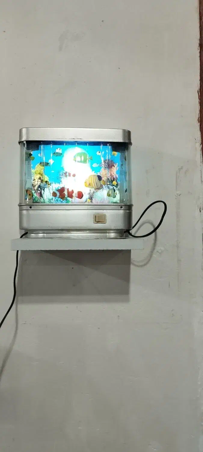 آکواریوم فانتزی|کلکسیون و سرگرمی|فومن, |دیوار