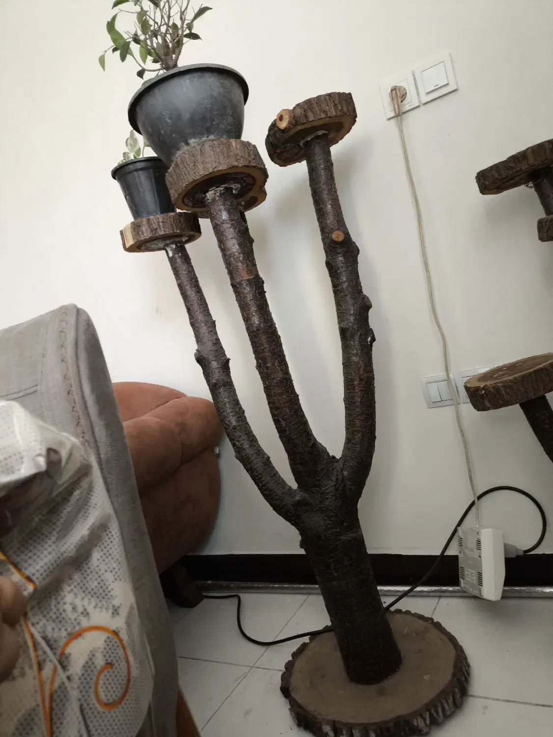 استند گل|گل و گیاه طبیعی|اهواز, سپیدار|دیوار