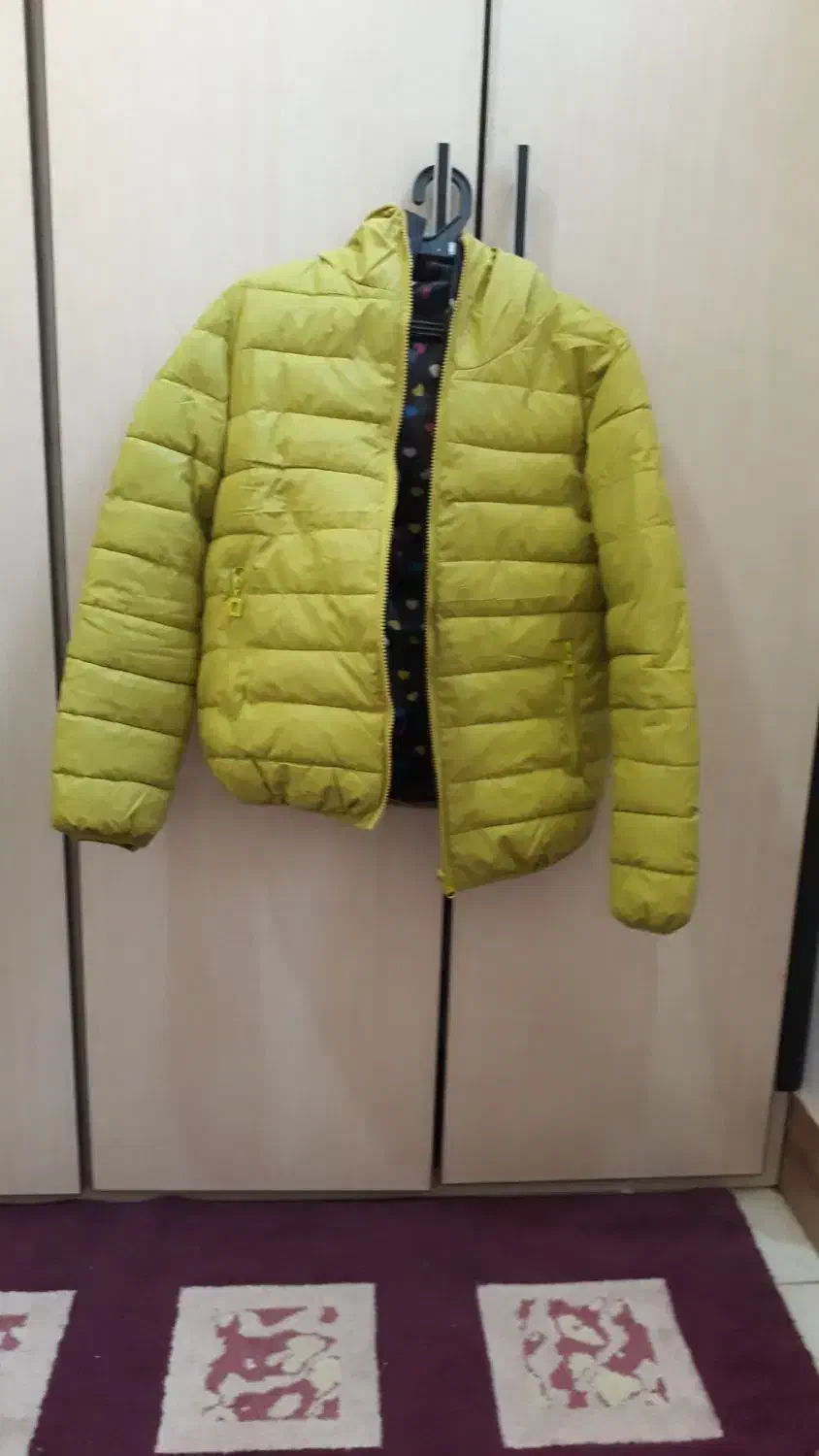 پالتو و کاپشن|لباس|ابریشم, |دیوار