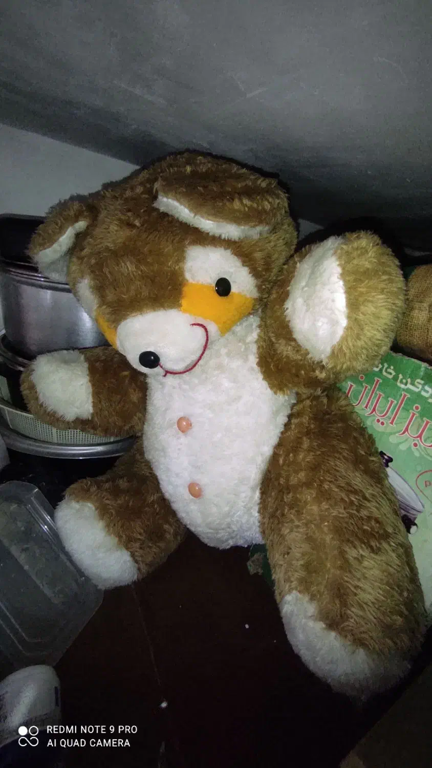 خرس سایز بزرگ|اسباب‌‌بازی|اردبیل, |دیوار