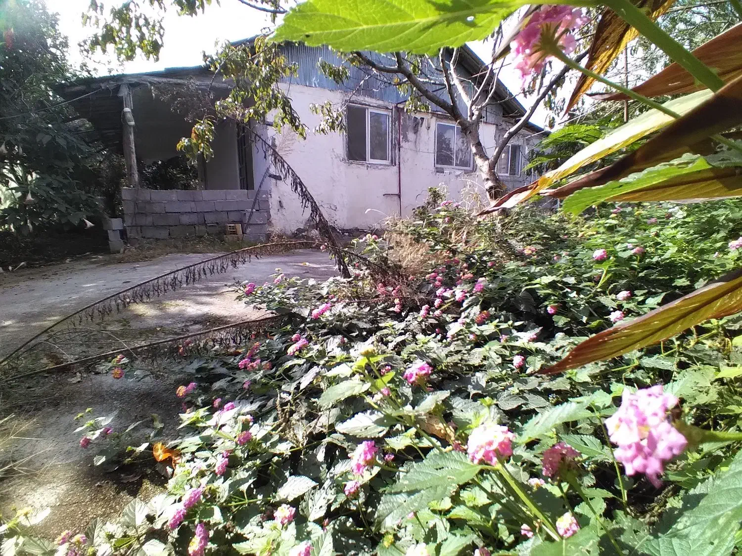 زمین ۴۳۰متری با خانه ۷۰متری|فروش زمین و ملک کلنگی|رضوانشهر, |دیوار