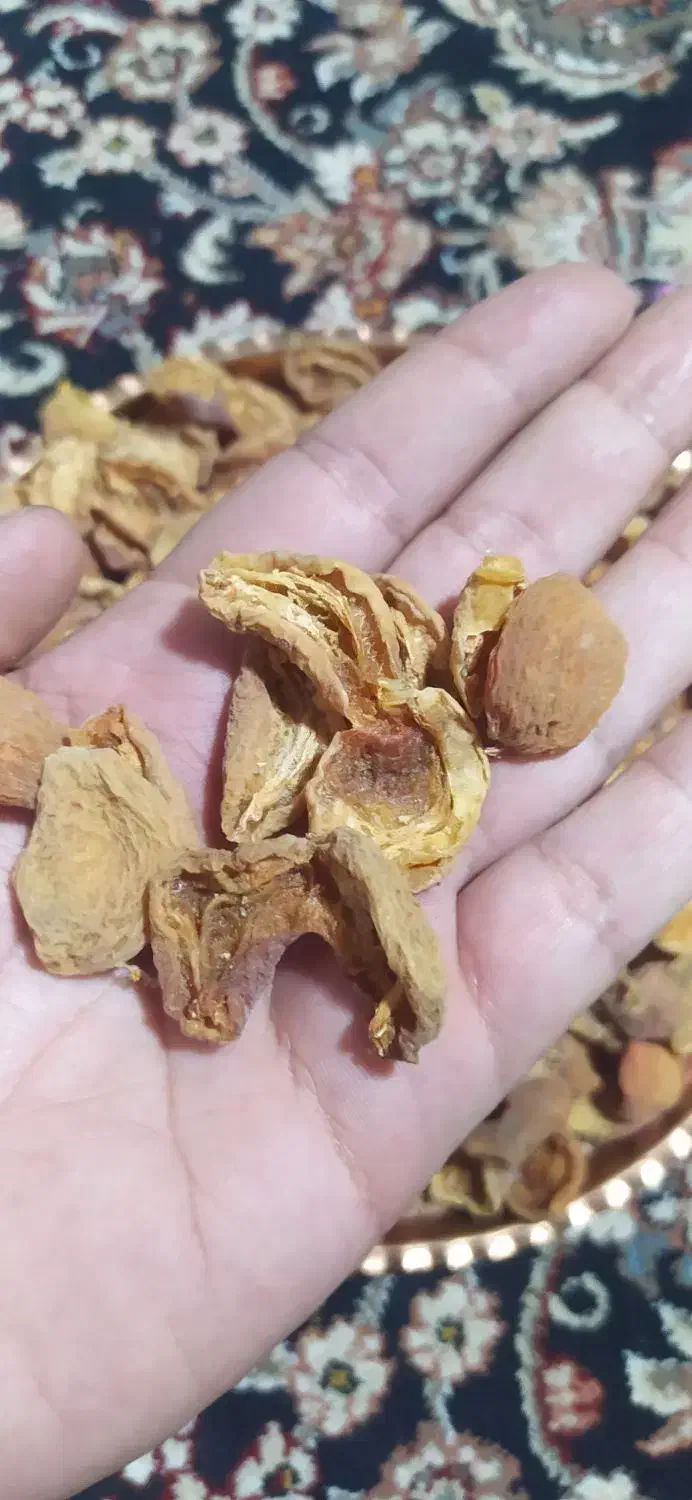 برگه تازه|خوردنی و آشامیدنی|قم, سید معصوم|دیوار