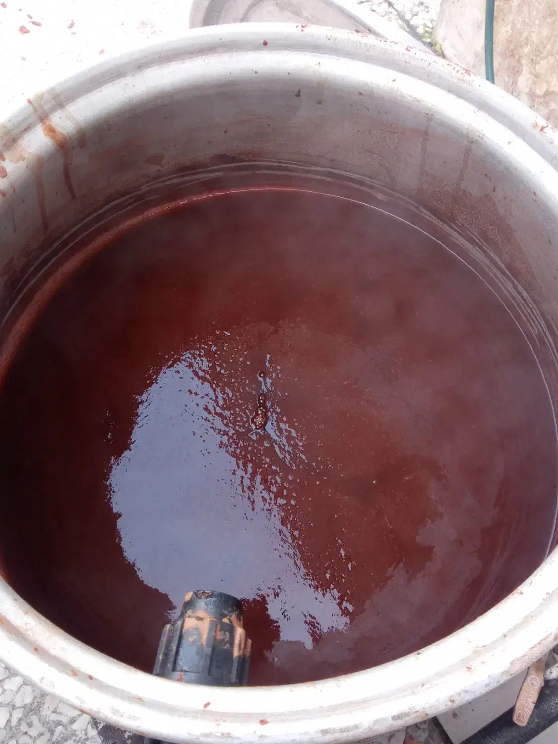 رب ازگل|خوردنی و آشامیدنی|آمل, |دیوار