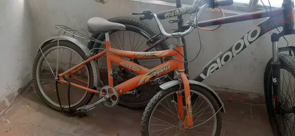 فروش فوری دوچرخه و اسکوتر ومقداری خورده وسایل|دوچرخه، اسکیت، اسکوتر|شیراز, سینما سعدی|دیوار