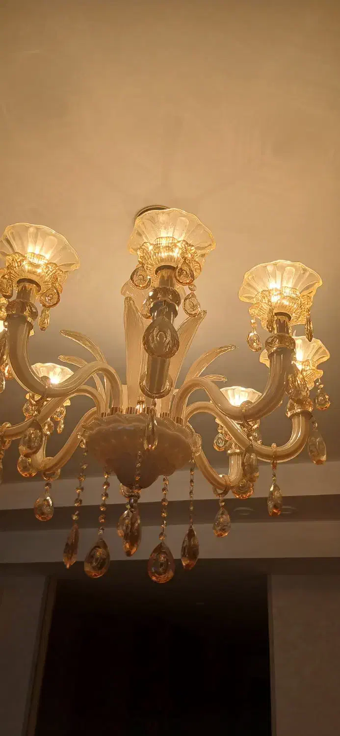 لوستر|لوستر و چراغ آویز|شیراز, لاله|دیوار