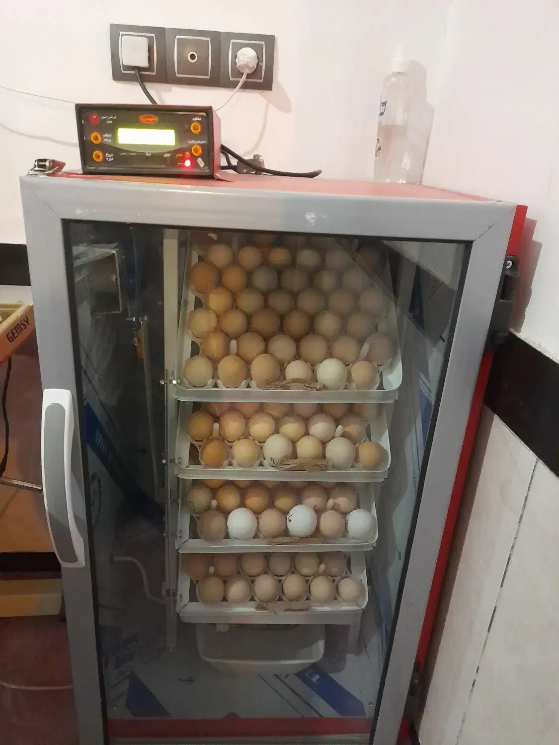 دستگاه جوجه کشی ۵۶۰تایی|لوازم جانبی حیوانات|تایباد, |دیوار