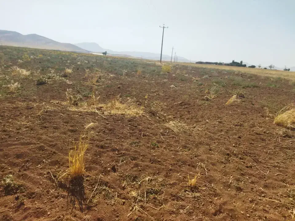 چاه عمیق کشاورزی اجاره ای|اجارهٔ دفتر صنعتی، کشاورزی، تجاری|دهگلان, |دیوار