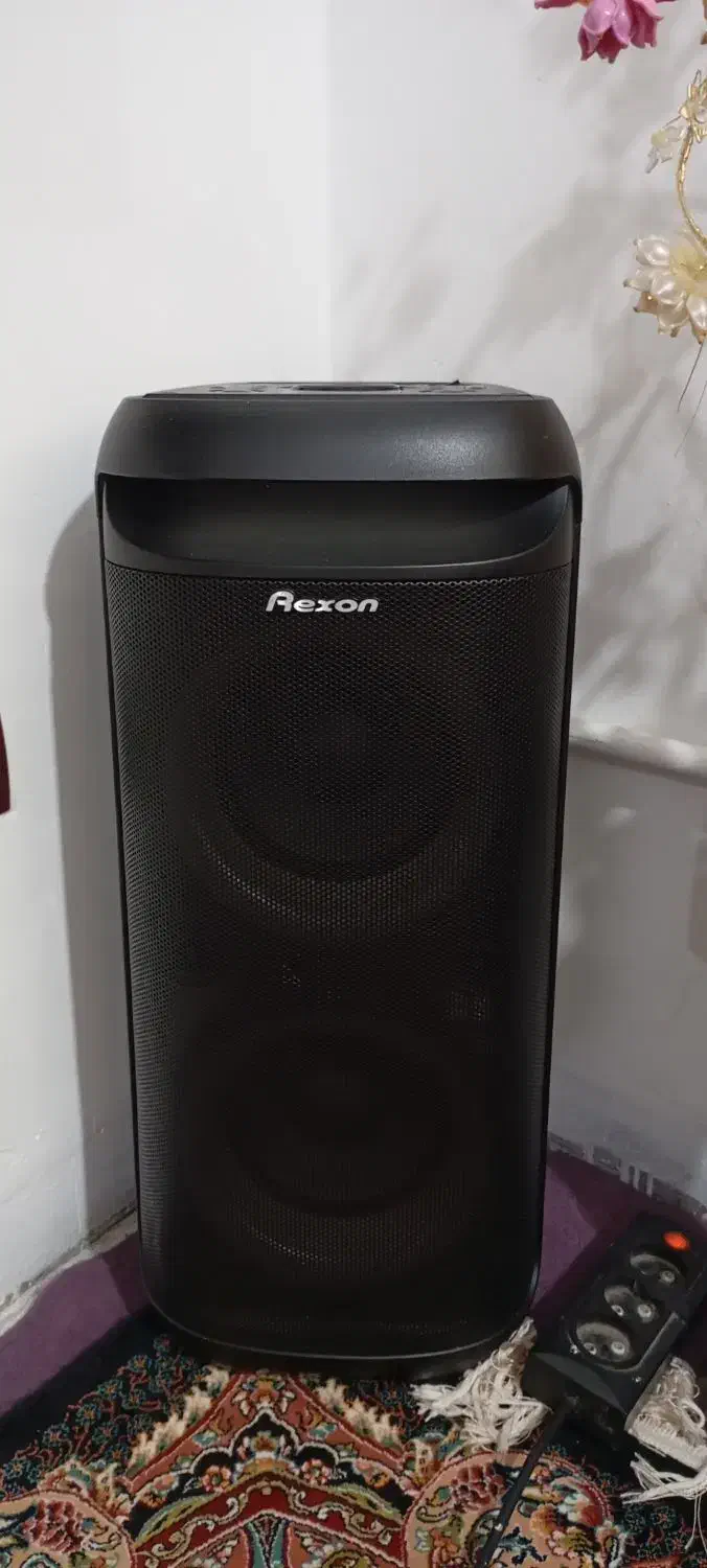 اسپیکر رکسون|سیستم صوتی خانگی|سنندج, |دیوار