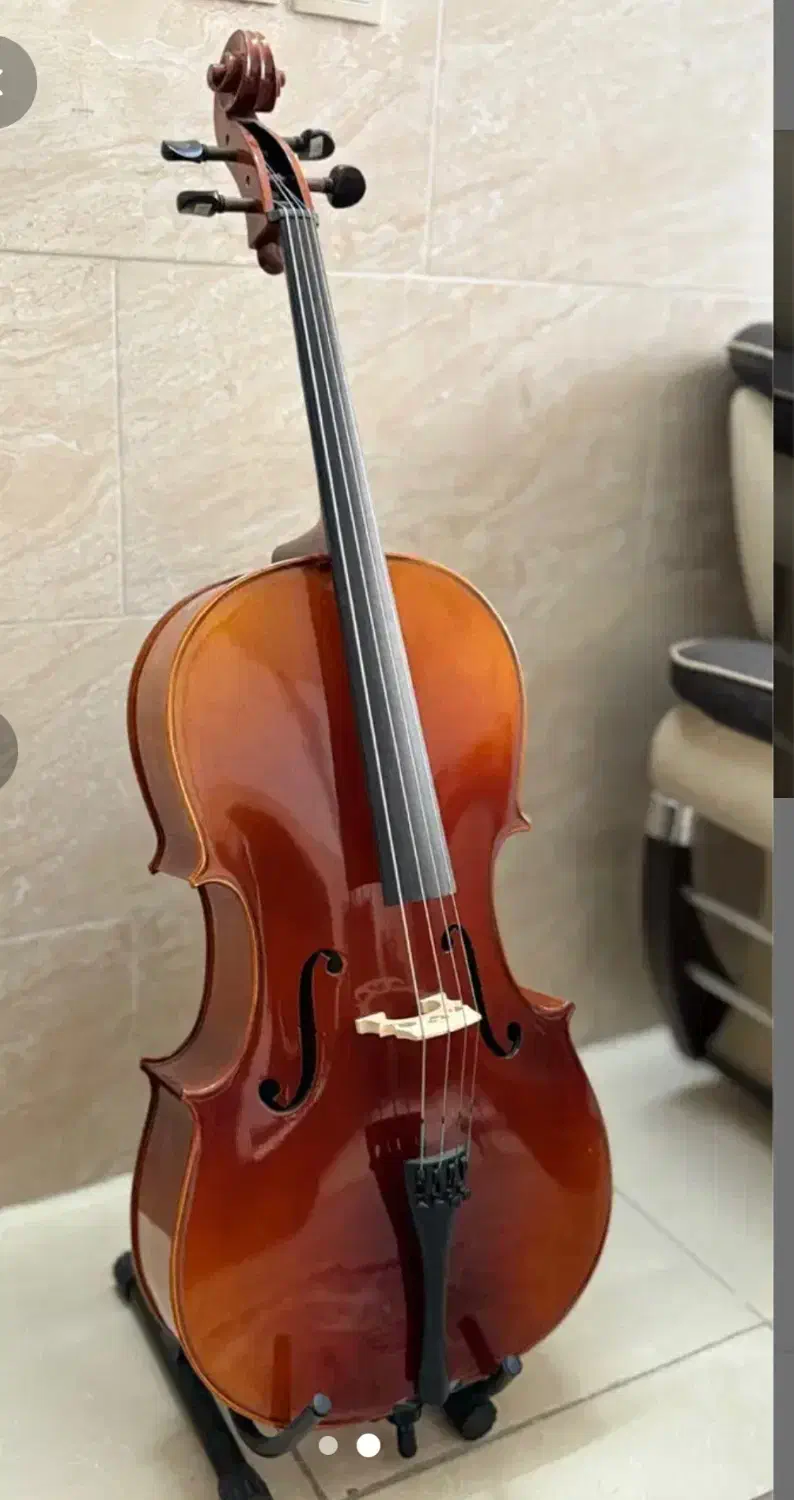 ویولنسل|ویولن|زاهدان, |دیوار