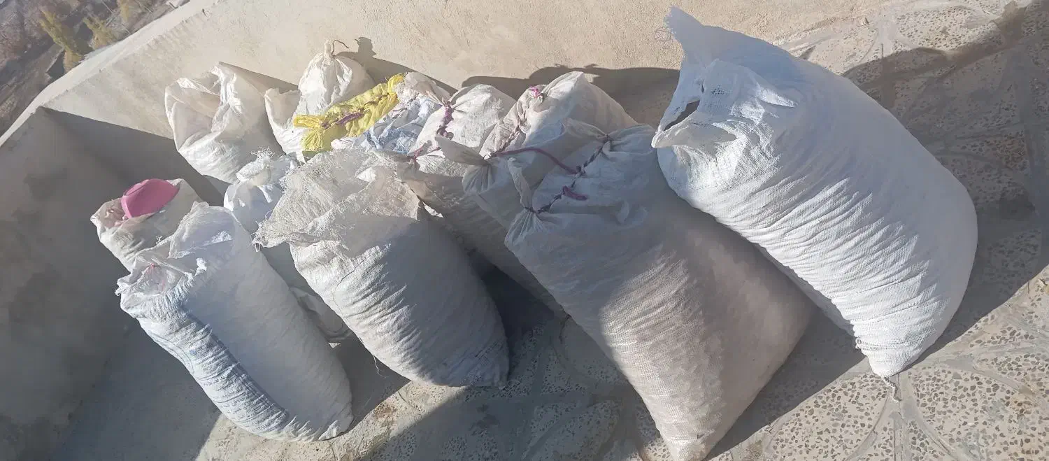 بلوط فروشی|لوازم جانبی حیوانات|ملکشاهی, |دیوار