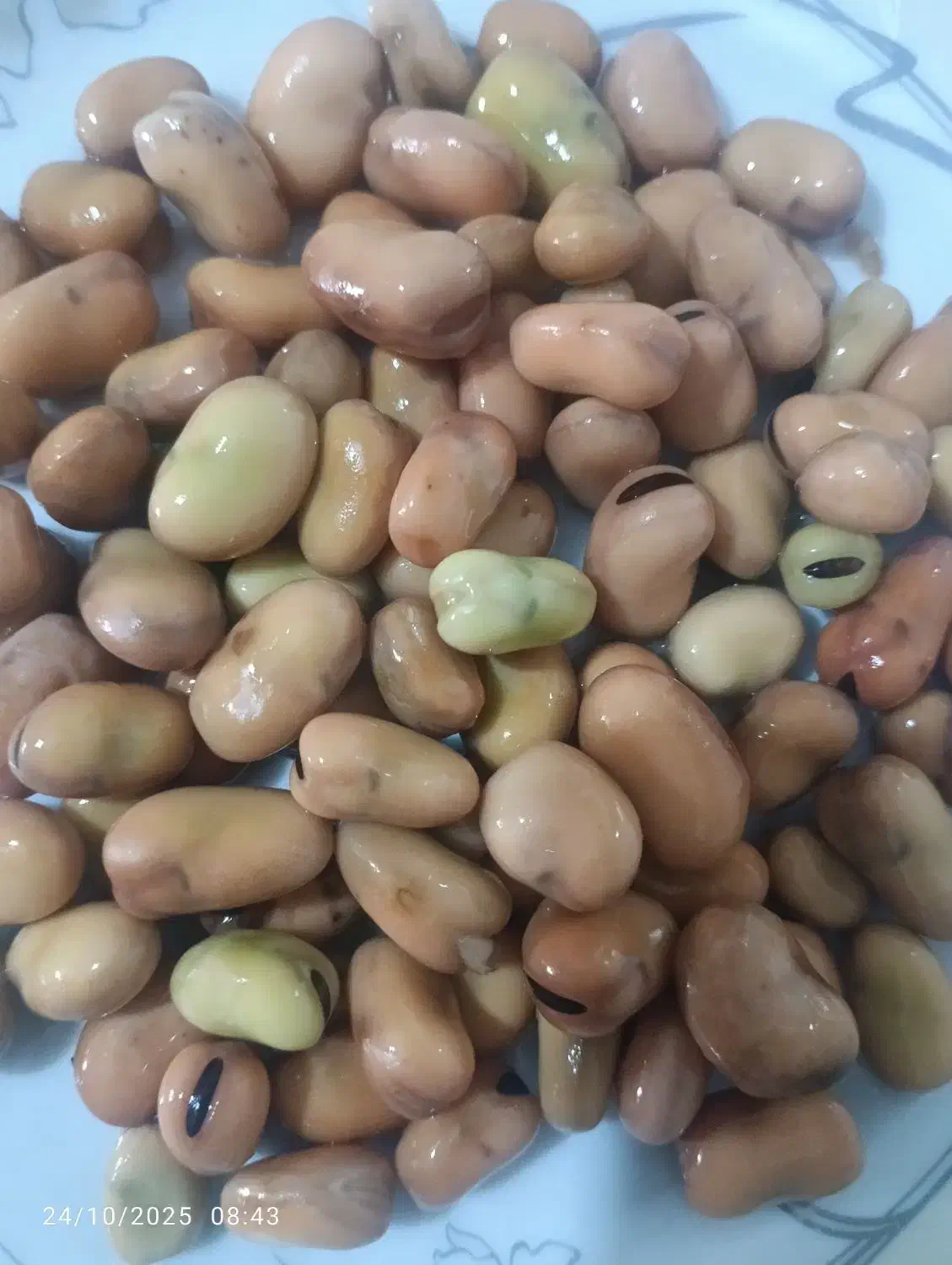 باقالی|خوردنی و آشامیدنی|نیشابور, شهرک بهارستان|دیوار