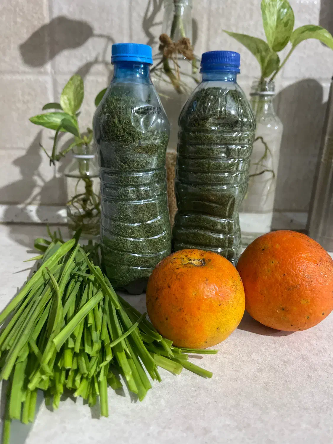 انواع محصولات خانگی|خوردنی و آشامیدنی|رشت, استادسرا|دیوار