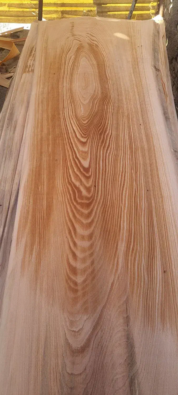 فروش روکش راش و سفید|عمده‌فروشی|بهارستان, |دیوار