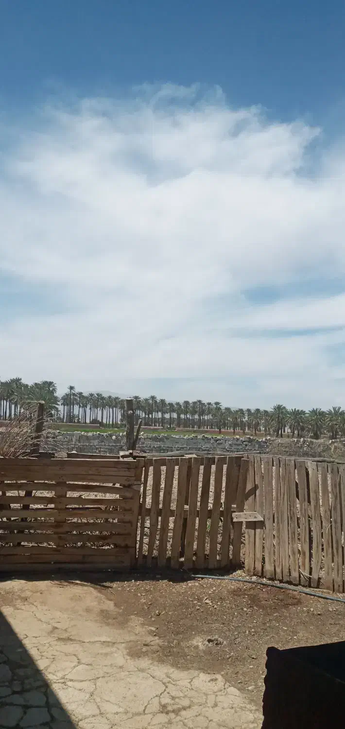 اجاره زمین کشاورزی متراژ 1/5هکتار جهرم|اجارهٔ دفتر صنعتی، کشاورزی، تجاری|جهرم, |دیوار