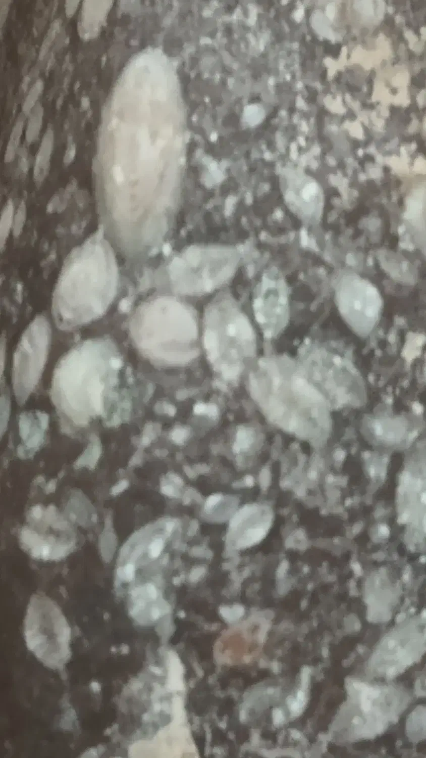 سنگفسیل|جواهرات|قم, قلعه کامکار|دیوار