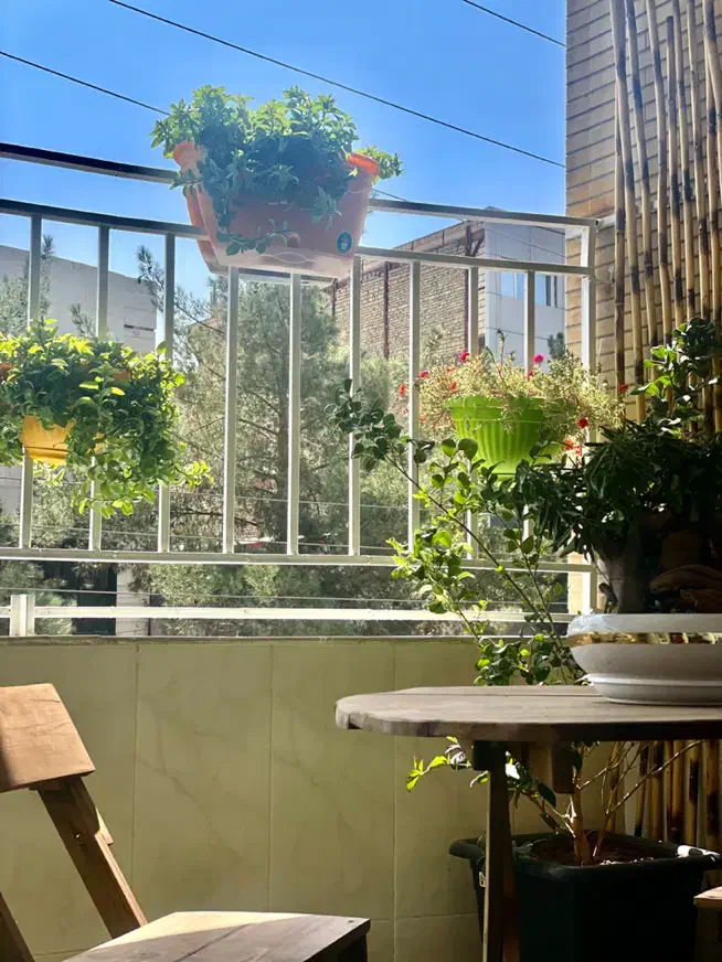 هدیه ویژه فقط برای مشتریان دیوار|خدمات آرایشگری و زیبایی|سیرجان, |دیوار