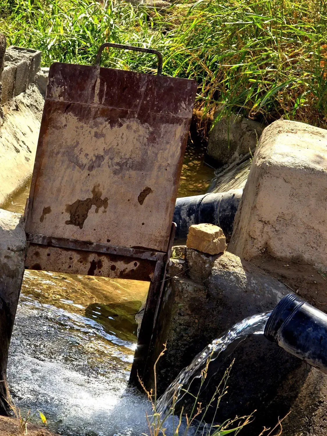 باغ با بنا (انواع درختان میوه بارده )|فروش زمین و ملک کلنگی|اسلامشهر, شهرک احمدیه|دیوار