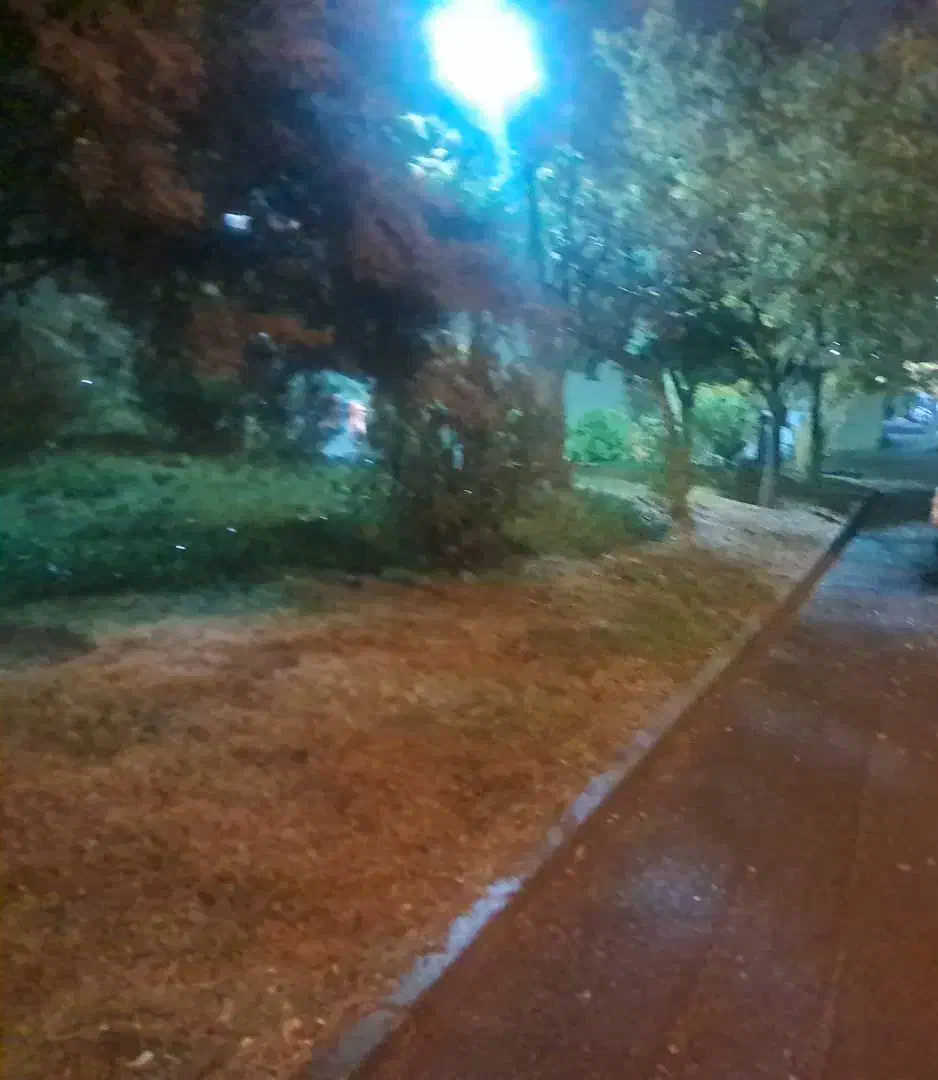 سرایدار ونگهبان|استخدام سرایداری و نظافت|باغستان, |دیوار