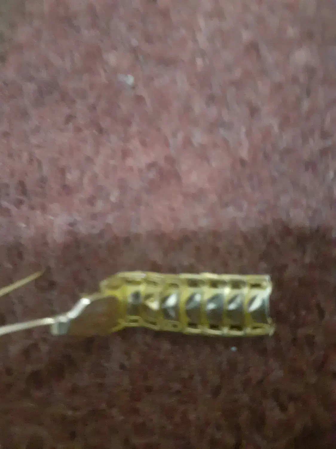 یک گوشواره گم شده هرکس پیدا کنه مژدهگانی خوب میگره|جواهرات|سلماس, |دیوار