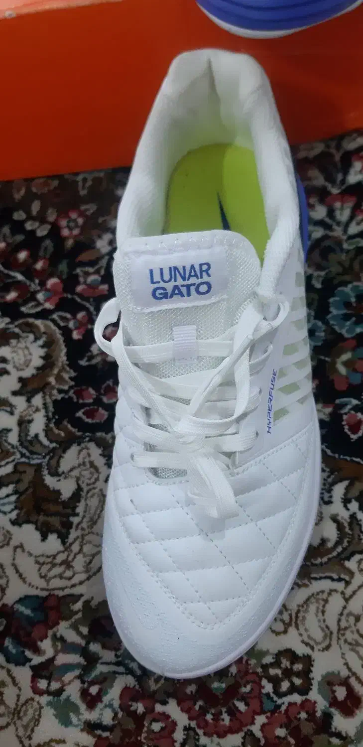 کفش ورزشی نو|کیف، کفش، کمربند|اهواز, سپیدار|دیوار