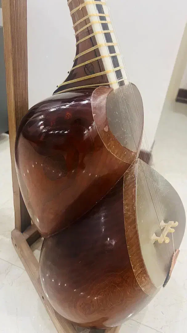 تار با مهر استاد گلستانی|سازهای سنتی|تهران, تهرانسر شمالی|دیوار