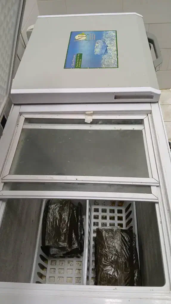 سبزی خانگی رامهرمز،خورشتی اشی ماهی کوکوبرنجی|خوردنی و آشامیدنی|اهواز, کوی آغاجاری|دیوار