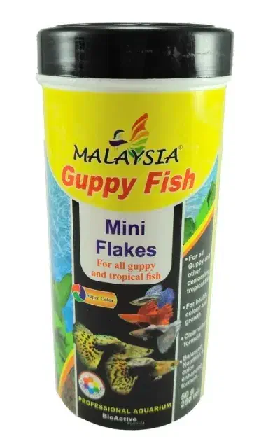 غذا ماهی|ماهی|قم, باغ کرباسی|دیوار