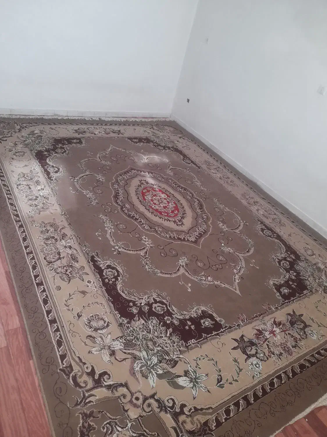 فرش ۱۲ متری|فرش|خاش, |دیوار