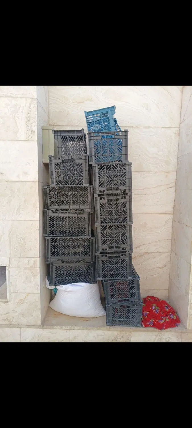 سبد|فروشگاه و مغازه|محلات, |دیوار
