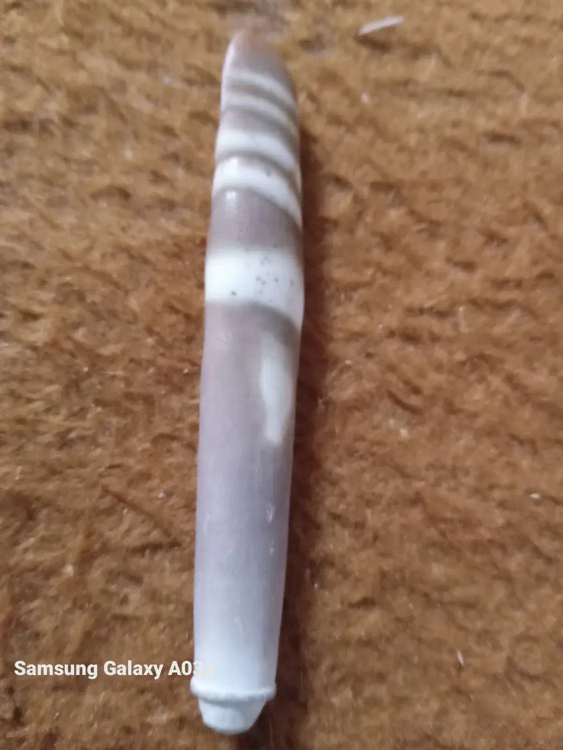 مهره عرج سواحل بحری شادگان|جواهرات|شادگان, |دیوار