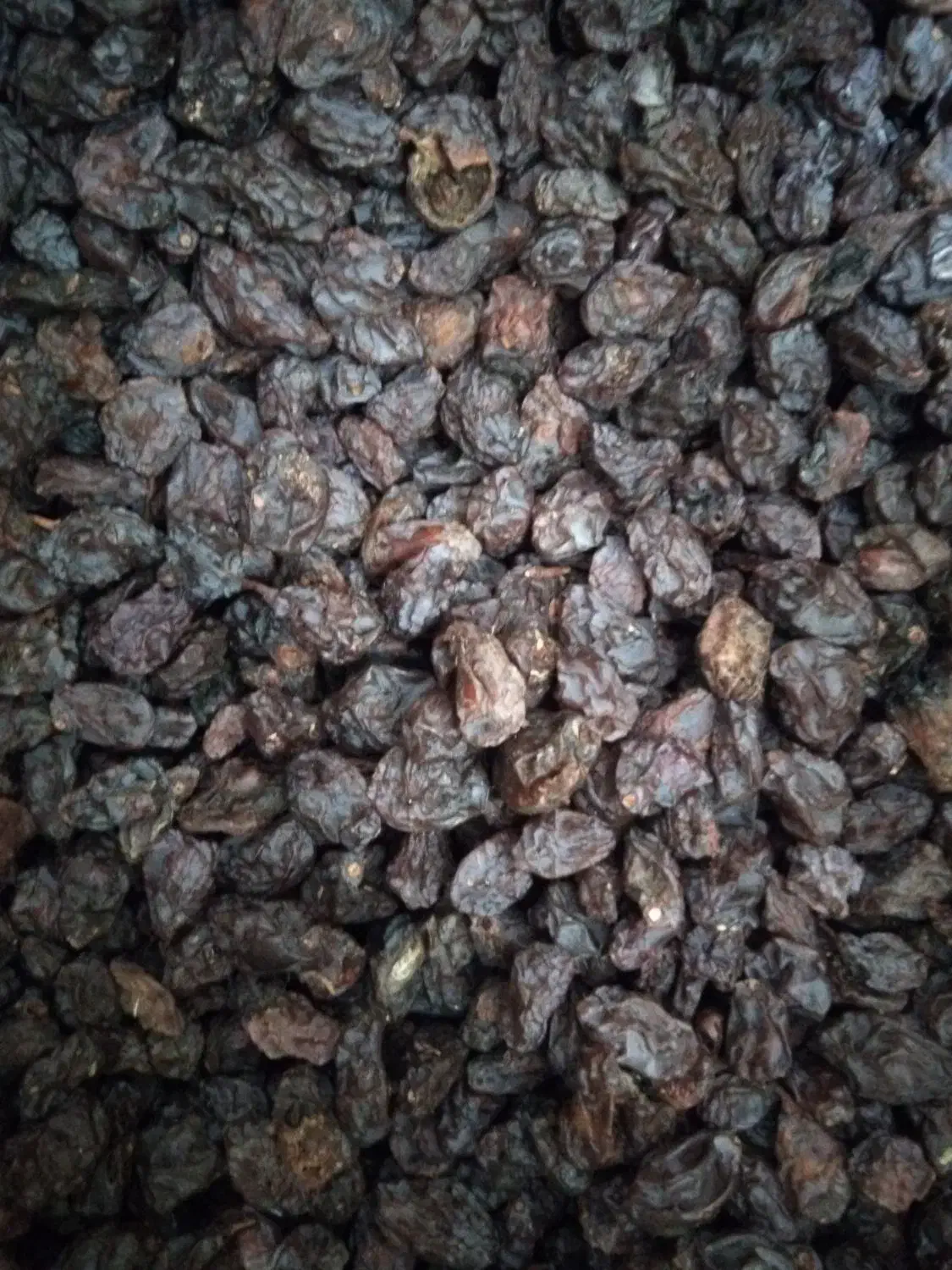 کشمش آفتابی بدون تیزاب|خوردنی و آشامیدنی|نجف‌آباد, امام خمینی|دیوار