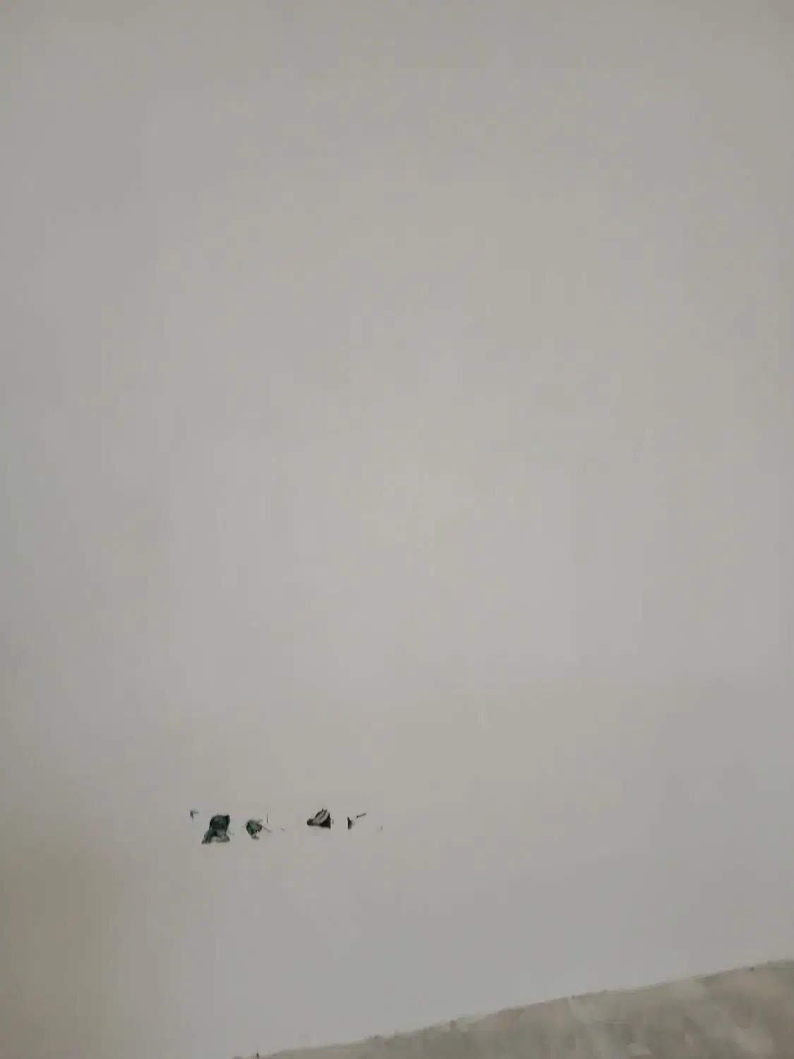 گارکر کچ گاری|استخدام معماری، عمران و ساختمانی|رشت, دیلمان|دیوار