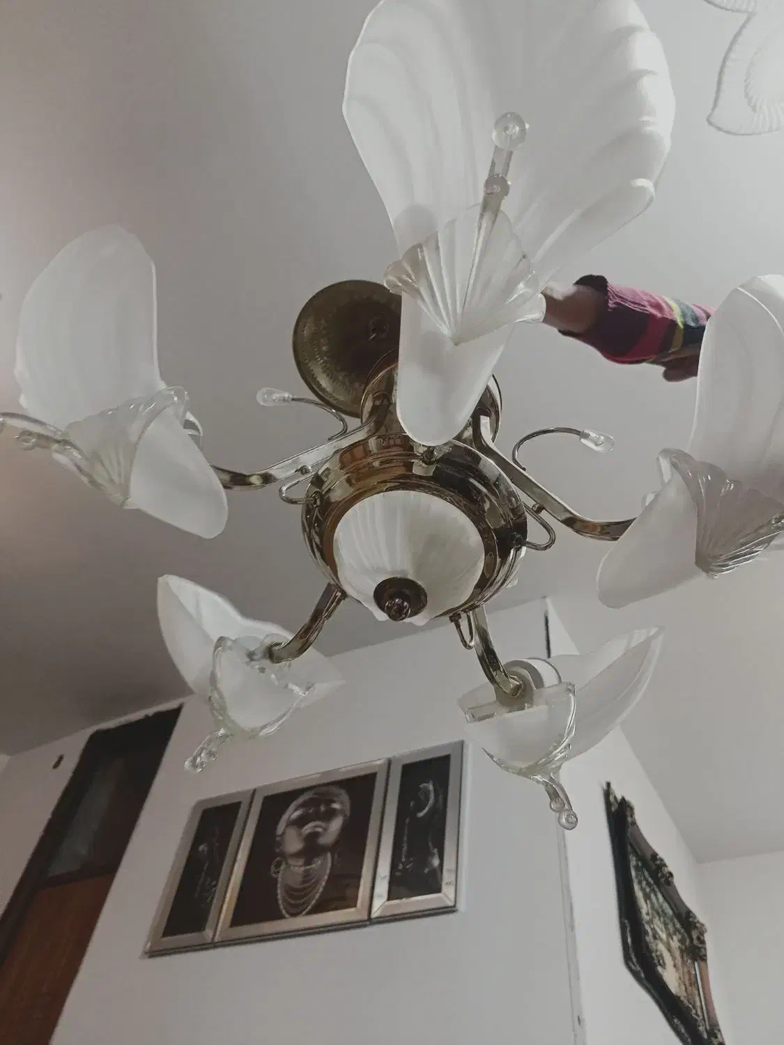 لوستر شیک ۵شاخه|لوستر و چراغ آویز|کرمانشاه, |دیوار